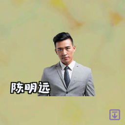 陈明远